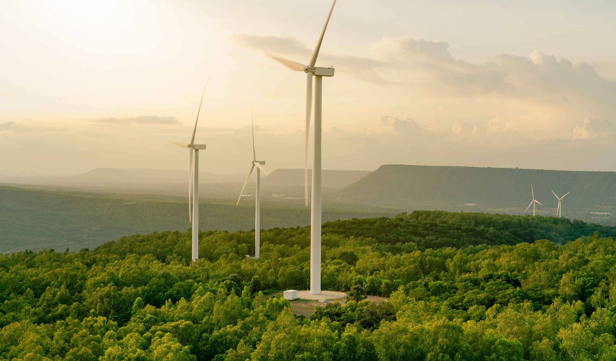 hero (2560 x 1500 px) (20).jpg