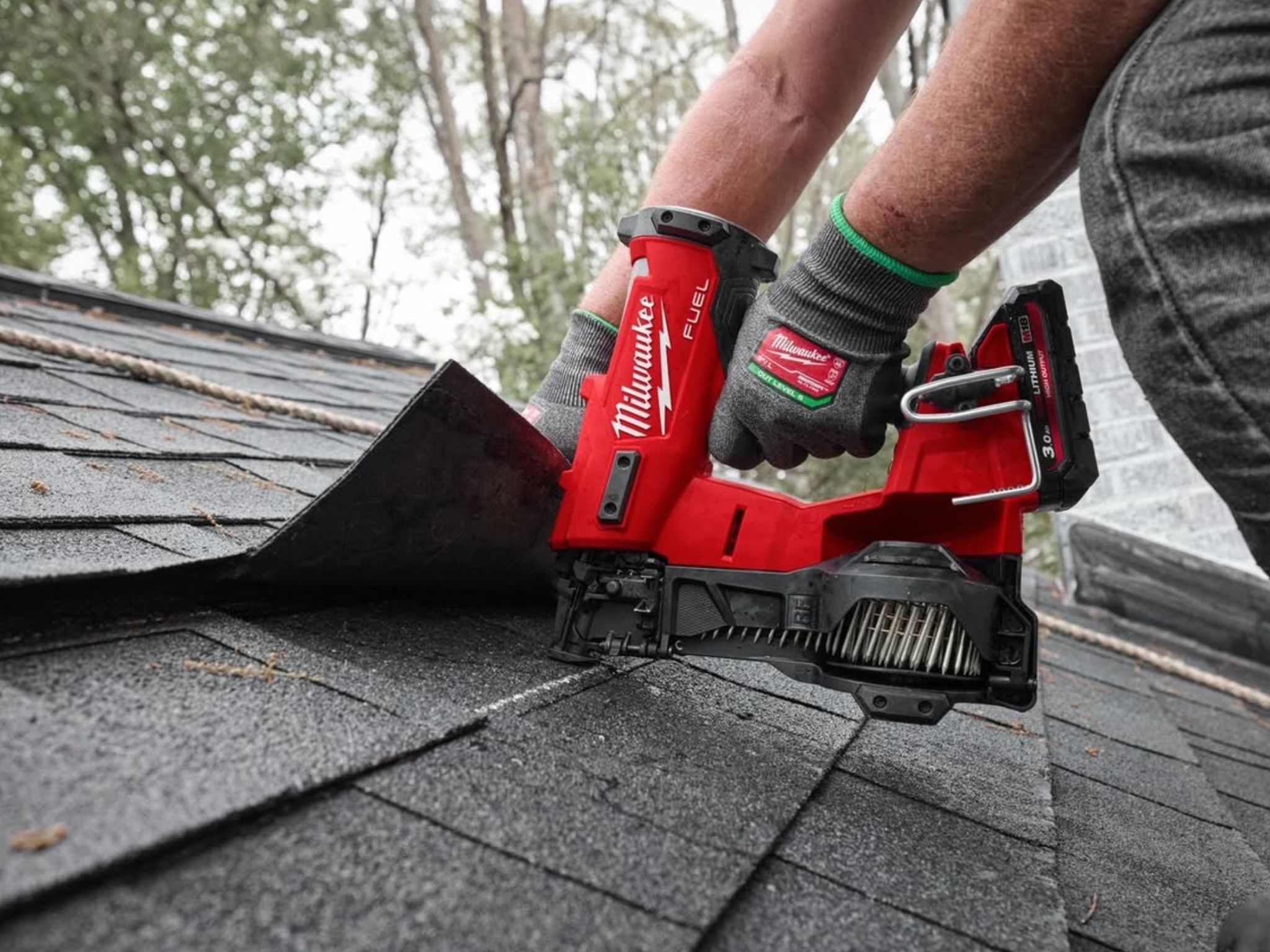 Namnlös design (42).jpg